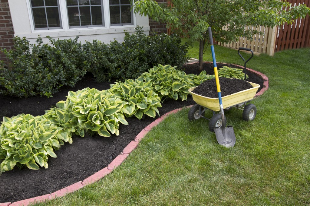 Mulch and plants