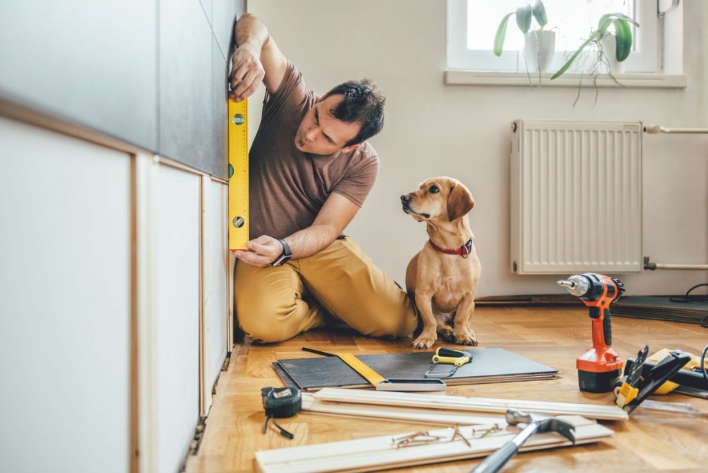 man doing home renovations with a dog