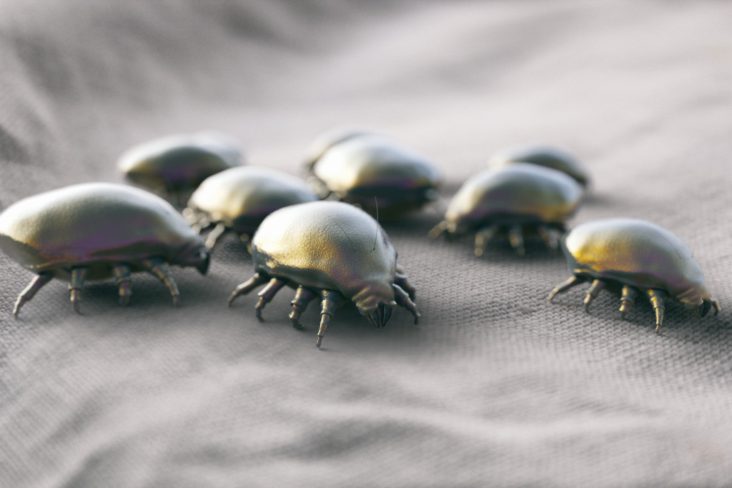 closeup of dust mites in a sheet of fabric