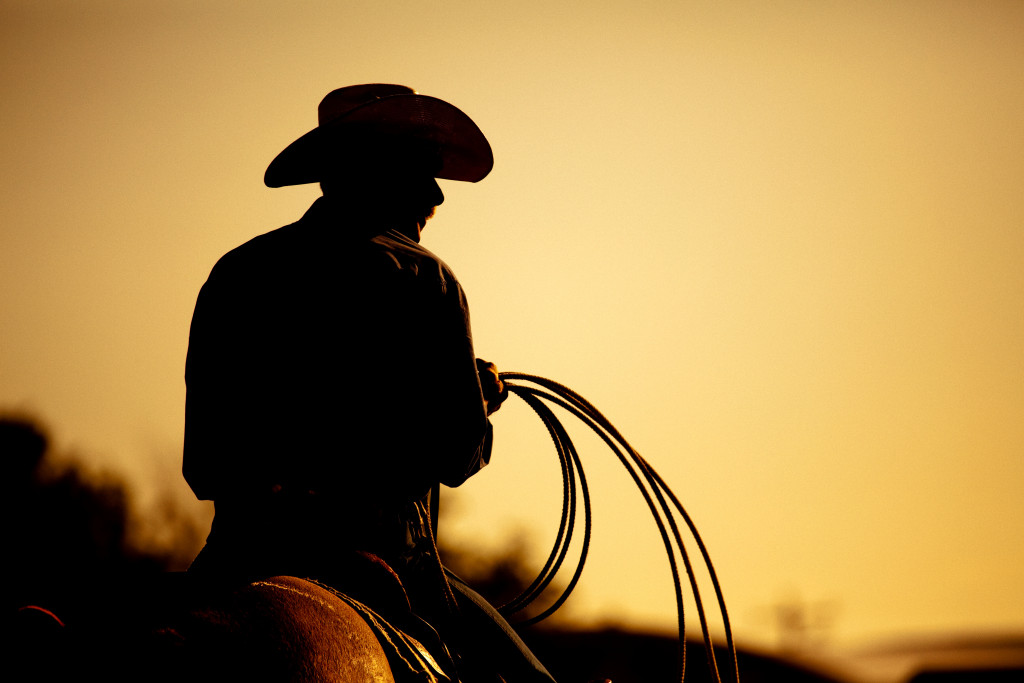 cowboy riding a bull silhouette