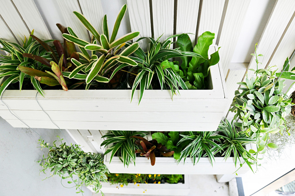 vertical garden with white wooden fencing