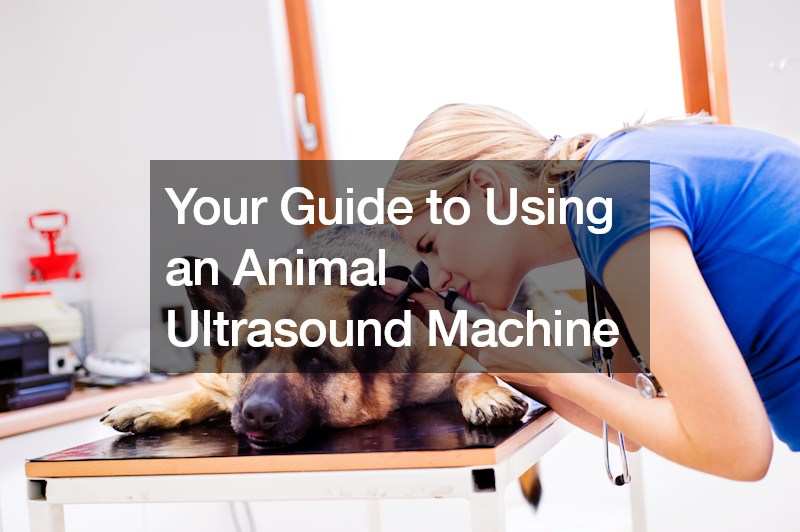 Your Guide to Using an Animal Ultrasound Machine