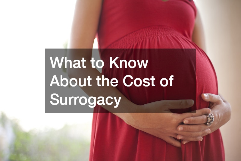 What to Know About the Cost of Surrogacy